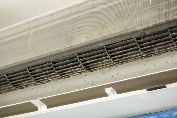 Best Best Air Duct Cleaning Company  in Western Lake, TX